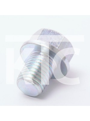 Болт сливной М10х1,25 CF 0010-060011-0030 (5694)