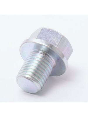 Болт сливной М10х1,25 CF 0010-060011-0030 (5694)