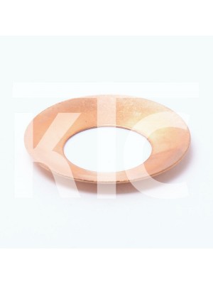 Кольцо оси сателлитов CF 0181-313011 (5709)