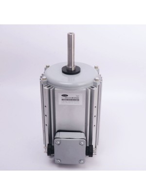 Электродвигатель наружного блока DK12AB035EE (019460)