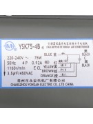 Электродвигатель YSK75-4B4 (018839) Электродвигатель YSK75-4B4 (018839)