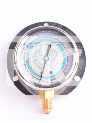 Манометр с силиконом 63мм BCJH-NSl-63 R22.134.404.407 (019294)