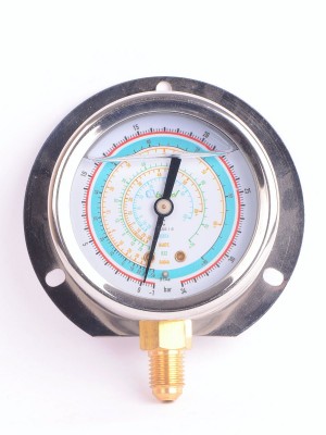 Манометр с силиконом 63мм BCJH-NSl-63 R22.134.404.407 (019294)