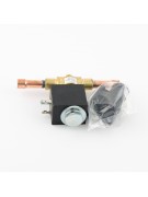 Вентиль соленоидный с катушкой 220V BC-EMV3 38S (6756) Вентиль соленоидный с катушкой 220V BC-EMV3 38S (6756)