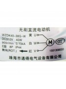 Электродвигатель внутреннего блока WZDK40-38G-W DC310V 40W (017958) Электродвигатель внутреннего блока WZDK40-38G-W DC310V 40W (017958)