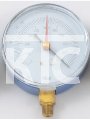 Мановакуумметр RG-80 VP (729)