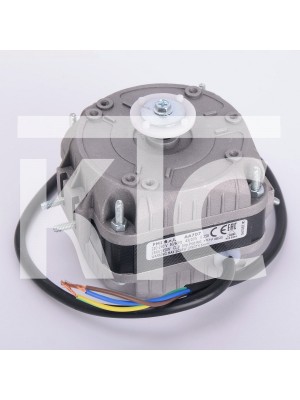 Двигатель FMI-10W (AA707) (012921)
